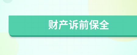 財(cái)產(chǎn)訴前保全