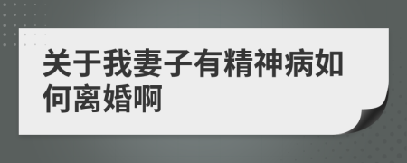 關(guān)于我妻子有精神病如何離婚啊