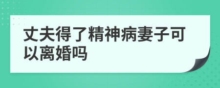 丈夫得了精神病妻子可以離婚嗎