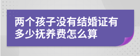 兩個孩子沒有結(jié)婚證有多少撫養(yǎng)費怎么算