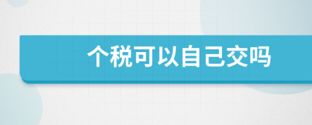 個(gè)稅可以自己交嗎