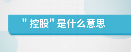 " 控股" 是什么意思