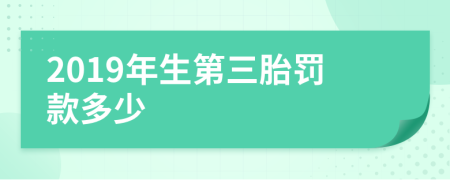 2019年生第三胎罰款多少