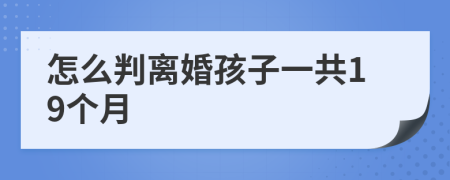 怎么判離婚孩子一共19個月