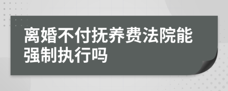 離婚不付撫養(yǎng)費(fèi)法院能強(qiáng)制執(zhí)行嗎