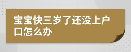 寶寶快三歲了還沒上戶口怎么辦