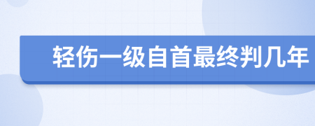 輕傷一級(jí)自首最終判幾年