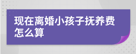 現(xiàn)在離婚小孩子撫養(yǎng)費(fèi)怎么算