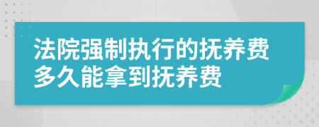 法院強(qiáng)制執(zhí)行的撫養(yǎng)費(fèi)多久能拿到撫養(yǎng)費(fèi)