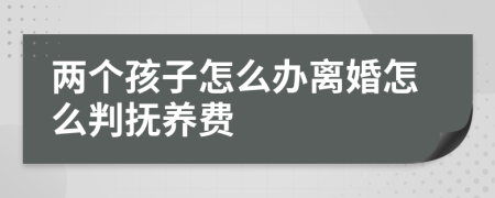 兩個(gè)孩子怎么辦離婚怎么判撫養(yǎng)費(fèi)