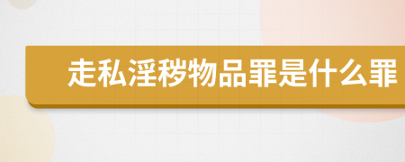 走私淫穢物品罪是什么罪