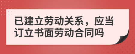 已建立勞動關系，應當訂立書面勞動合同嗎