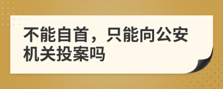 不能自首，只能向公安機(jī)關(guān)投案嗎