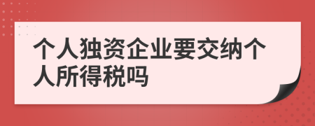 個(gè)人獨(dú)資企業(yè)要交納個(gè)人所得稅嗎