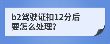 b2駕駛證扣12分后要怎么處理？