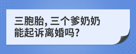 三胞胎, 三個爹奶奶能起訴離婚嗎?