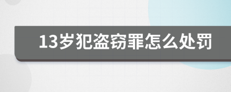 13歲犯盜竊罪怎么處罰