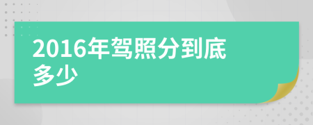 2016年駕照分到底多少