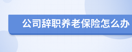 公司辭職養(yǎng)老保險怎么辦