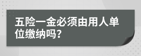 五險(xiǎn)一金必須由用人單位繳納嗎？