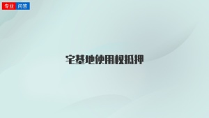 宅基地使用權(quán)抵押