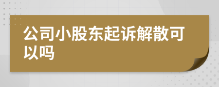 公司小股東起訴解散可以嗎