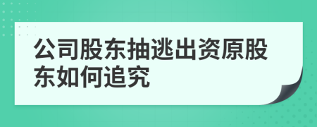 公司股東抽逃出資原股東如何追究