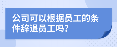 公司可以根據(jù)員工的條件辭退員工嗎？