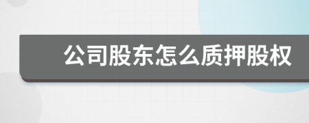 公司股東怎么質押股權