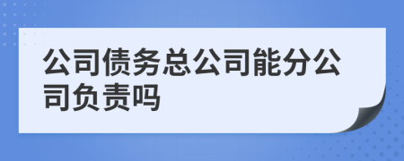 公司債務(wù)總公司能分公司負(fù)責(zé)嗎