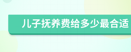 兒子撫養(yǎng)費給多少最合適