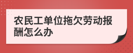 農(nóng)民工單位拖欠勞動報酬怎么辦