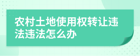 農(nóng)村土地使用權(quán)轉(zhuǎn)讓違法違法怎么辦