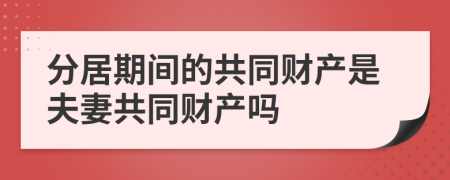 分居期間的共同財(cái)產(chǎn)是夫妻共同財(cái)產(chǎn)嗎