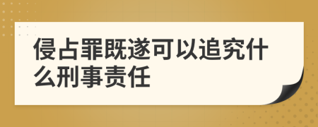 侵占罪既遂可以追究什么刑事責(zé)任