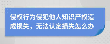 侵權(quán)行為侵犯他人知識產(chǎn)權(quán)造成損失，無法認定損失怎么辦