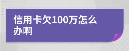 信用卡欠100萬(wàn)怎么辦啊