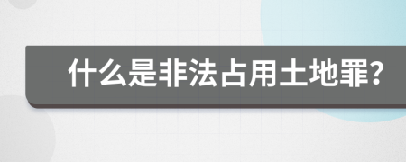 什么是非法占用土地罪？