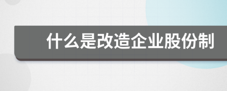 什么是改造企業(yè)股份制