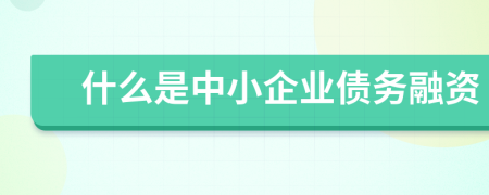 什么是中小企業(yè)債務(wù)融資
