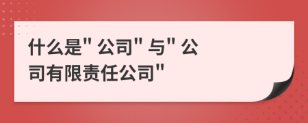 什么是" 公司" 與" 公司有限責(zé)任公司"