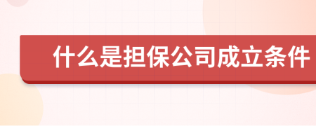 什么是擔(dān)保公司成立條件