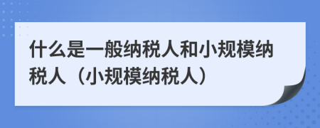 什么是一般納稅人和小規(guī)模納稅人（小規(guī)模納稅人）