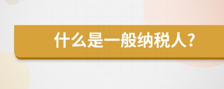 什么是一般納稅人?