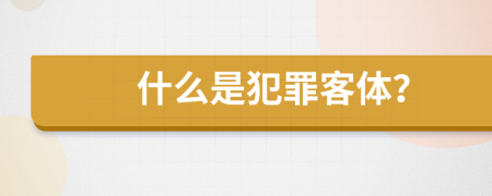 什么是犯罪客體？