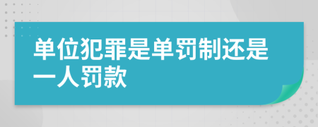 單位犯罪是單罰制還是一人罰款