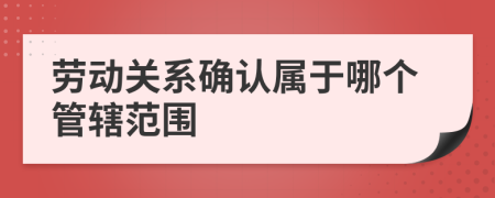 勞動關系確認屬于哪個管轄范圍