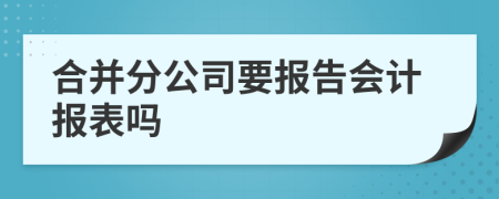 合并分公司要報告會計報表嗎