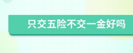 只交五險(xiǎn)不交一金好嗎