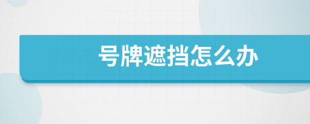 號牌遮擋怎么辦